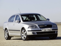 Skoda Octavia Liftback 5-door (2 generation) 1.9 TDI DPF DSG (105 HP) image, Skoda Octavia Liftback 5-door (2 generation) 1.9 TDI DPF DSG (105 HP) images, Skoda Octavia Liftback 5-door (2 generation) 1.9 TDI DPF DSG (105 HP) photos, Skoda Octavia Liftback 5-door (2 generation) 1.9 TDI DPF DSG (105 HP) photo, Skoda Octavia Liftback 5-door (2 generation) 1.9 TDI DPF DSG (105 HP) picture, Skoda Octavia Liftback 5-door (2 generation) 1.9 TDI DPF DSG (105 HP) pictures