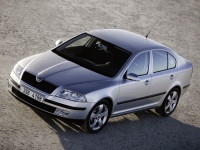 Skoda Octavia Liftback 5-door (2 generation) 1.9 TDI DPF MT (105 HP) image, Skoda Octavia Liftback 5-door (2 generation) 1.9 TDI DPF MT (105 HP) images, Skoda Octavia Liftback 5-door (2 generation) 1.9 TDI DPF MT (105 HP) photos, Skoda Octavia Liftback 5-door (2 generation) 1.9 TDI DPF MT (105 HP) photo, Skoda Octavia Liftback 5-door (2 generation) 1.9 TDI DPF MT (105 HP) picture, Skoda Octavia Liftback 5-door (2 generation) 1.9 TDI DPF MT (105 HP) pictures