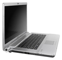 Sony VAIO VGN-FW4ZRJ (Core 2 Duo P8700 2530 Mhz/16.4
