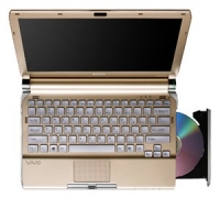 Sony VAIO VGN-TT190EIN (Core 2 Duo SU9300 1200 Mhz/11.1