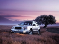 Subaru Forester Crossover (2 generation) 2.0 MT AWD (125 HP) avis, Subaru Forester Crossover (2 generation) 2.0 MT AWD (125 HP) prix, Subaru Forester Crossover (2 generation) 2.0 MT AWD (125 HP) caractéristiques, Subaru Forester Crossover (2 generation) 2.0 MT AWD (125 HP) Fiche, Subaru Forester Crossover (2 generation) 2.0 MT AWD (125 HP) Fiche technique, Subaru Forester Crossover (2 generation) 2.0 MT AWD (125 HP) achat, Subaru Forester Crossover (2 generation) 2.0 MT AWD (125 HP) acheter, Subaru Forester Crossover (2 generation) 2.0 MT AWD (125 HP) Auto