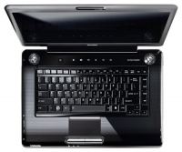 Toshiba SATELLITE A350-134 (Pentium Dual-Core T3400 2160 Mhz/16.0