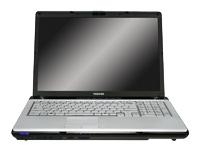 Toshiba SATELLITE P205-S6247 (Pentium Dual-Core T2080 1730 Mhz/17.0