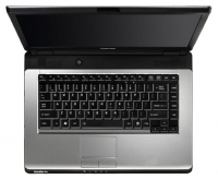 Toshiba SATELLITE PRO L300-165 (Pentium Dual-Core T2390 1860 Mhz/15.4