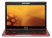 Toshiba SATELLITE T135D-S1328RD (Turion Neo X2 L625 1600 Mhz/13.3