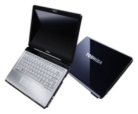 Toshiba SATELLITE U300-153 (Pentium Dual-Core T2370 1730 Mhz/13.3