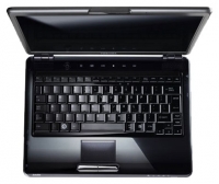 Toshiba SATELLITE U400-10O (Core 2 Duo T8300 2400 Mhz/13.3