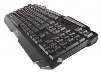 Trust GXT 280 LED Illuminated Gaming Keyboard Black USB image, Trust GXT 280 LED Illuminated Gaming Keyboard Black USB images, Trust GXT 280 LED Illuminated Gaming Keyboard Black USB photos, Trust GXT 280 LED Illuminated Gaming Keyboard Black USB photo, Trust GXT 280 LED Illuminated Gaming Keyboard Black USB picture, Trust GXT 280 LED Illuminated Gaming Keyboard Black USB pictures