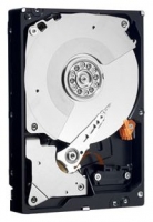 Western Digital WD1002FAEX avis, Western Digital WD1002FAEX prix, Western Digital WD1002FAEX caractéristiques, Western Digital WD1002FAEX Fiche, Western Digital WD1002FAEX Fiche technique, Western Digital WD1002FAEX achat, Western Digital WD1002FAEX acheter, Western Digital WD1002FAEX Disques dur