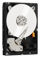 Western Digital WD1003FZEX avis, Western Digital WD1003FZEX prix, Western Digital WD1003FZEX caractéristiques, Western Digital WD1003FZEX Fiche, Western Digital WD1003FZEX Fiche technique, Western Digital WD1003FZEX achat, Western Digital WD1003FZEX acheter, Western Digital WD1003FZEX Disques dur