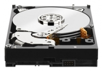 Western Digital WD1003FZEX image, Western Digital WD1003FZEX images, Western Digital WD1003FZEX photos, Western Digital WD1003FZEX photo, Western Digital WD1003FZEX picture, Western Digital WD1003FZEX pictures