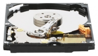 Western Digital WD1200BEVE image, Western Digital WD1200BEVE images, Western Digital WD1200BEVE photos, Western Digital WD1200BEVE photo, Western Digital WD1200BEVE picture, Western Digital WD1200BEVE pictures