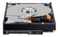 Western Digital WD1600AVCS image, Western Digital WD1600AVCS images, Western Digital WD1600AVCS photos, Western Digital WD1600AVCS photo, Western Digital WD1600AVCS picture, Western Digital WD1600AVCS pictures