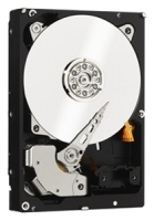 Western Digital WD5003ABYZ avis, Western Digital WD5003ABYZ prix, Western Digital WD5003ABYZ caractéristiques, Western Digital WD5003ABYZ Fiche, Western Digital WD5003ABYZ Fiche technique, Western Digital WD5003ABYZ achat, Western Digital WD5003ABYZ acheter, Western Digital WD5003ABYZ Disques dur