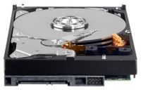 Western Digital WD7500AARS image, Western Digital WD7500AARS images, Western Digital WD7500AARS photos, Western Digital WD7500AARS photo, Western Digital WD7500AARS picture, Western Digital WD7500AARS pictures